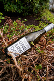 2024 Underwood Pinot Gris