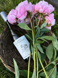 2025 Amity Vineyards Pinot Blanc